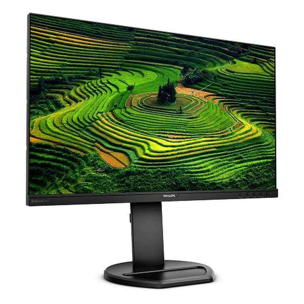 Monitor Desktop